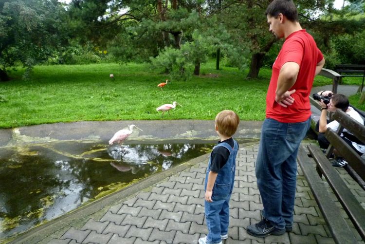 Klikněte pro zobrazení původního (velkého) obrázku