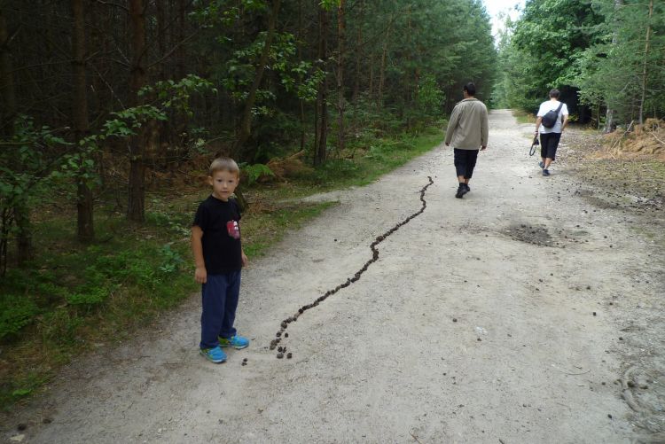 Klikněte pro zobrazení původního (velkého) obrázku